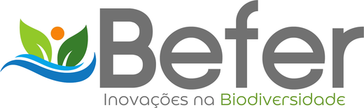 Befer